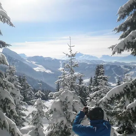 Telemark3 * Abondance